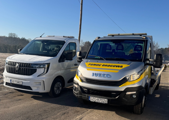 Główne przyczyny unieruchomienia pojazdu